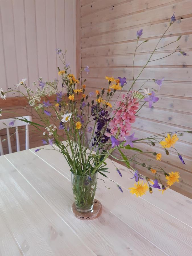 Hygge Chaloupka V Horach Villa Český Jiřetín Buitenkant foto