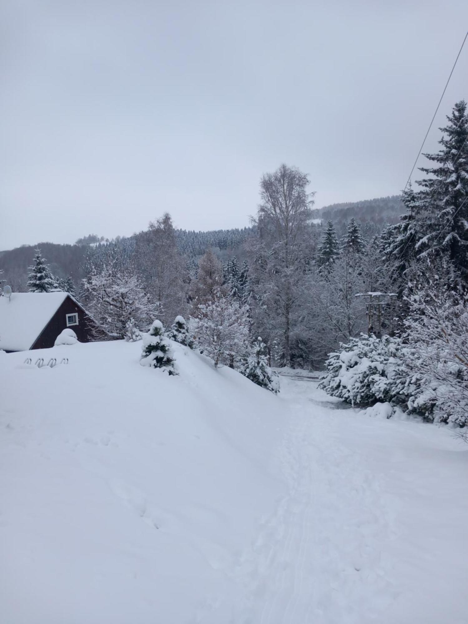 Hygge Chaloupka V Horach Villa Český Jiřetín Buitenkant foto